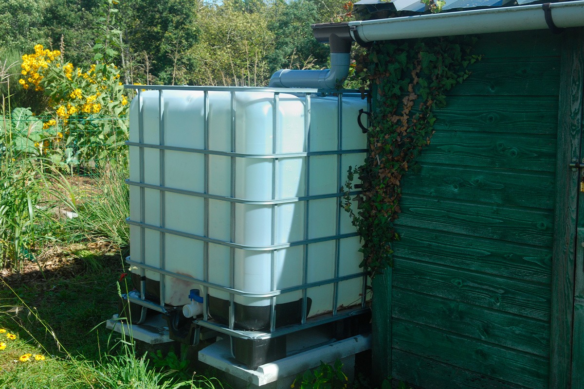 Exemple d'un grand récupérateur d'eau de pluie