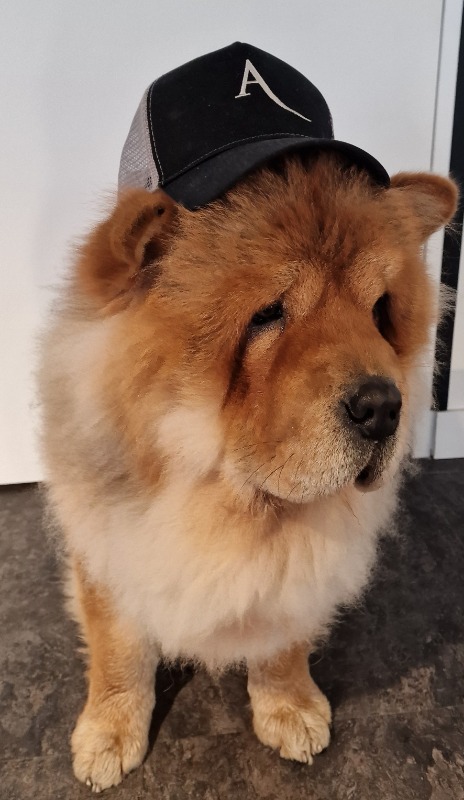 Immobilier locatif : le choc fiscal qui attend les propriétaires